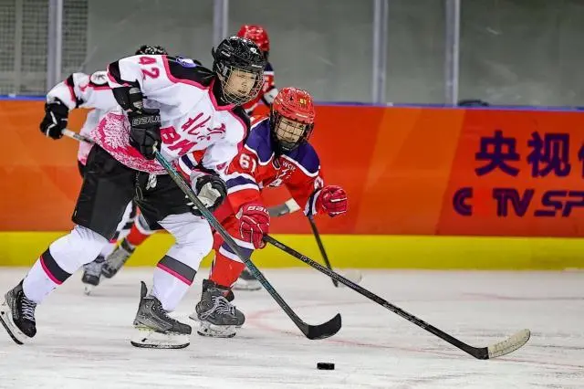 AA, 子冰球职业, yid